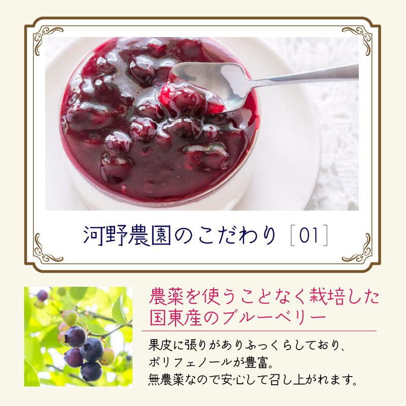 河野農園の酸化防止剤無添加ブルーベリーソース150g×5本_1450R