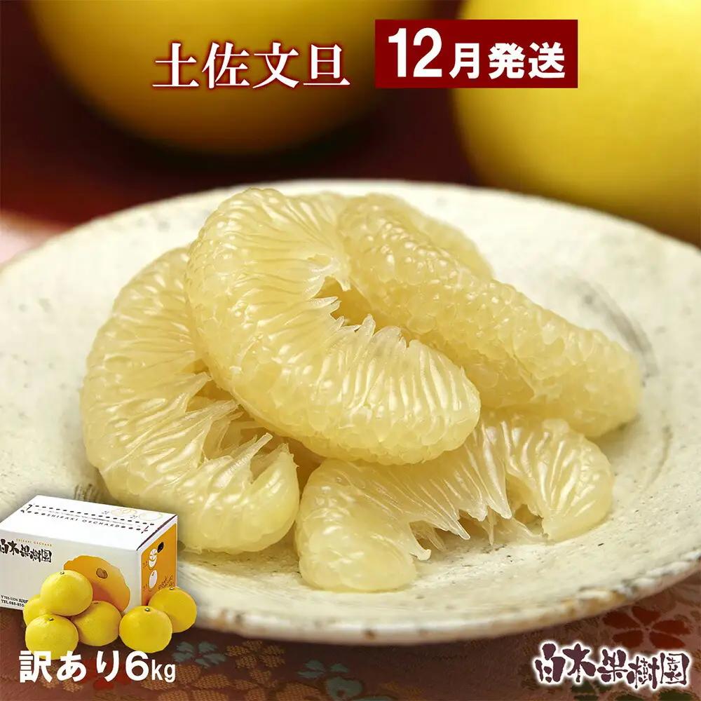 【先行予約】温室土佐文旦 Lから3L 約6kg（10から14個入り）〈2026年12月上旬から12月下旬頃〉高知県 土佐市【白木果樹園】 [BQAI040]