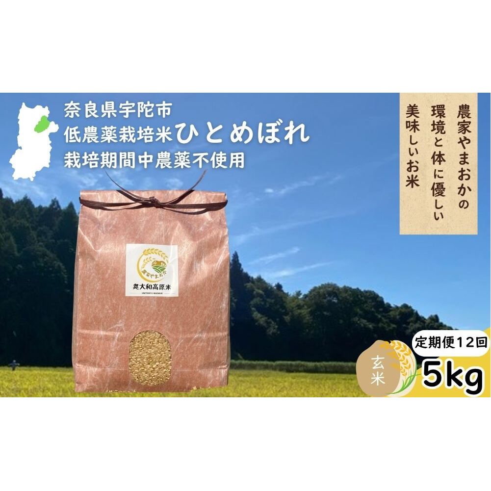 【定期便12回】ひとめぼれ 低農薬栽培＜令和7年産 玄米 5kg ＞ / ふるさと納税 低農薬 米 お米 こめ コメ 国産 新米 玄米 一等米 農家やまおか 奈良県 宇陀市陀市 ふるさと納税