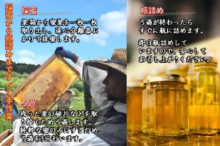 国産純粋生はちみつ ハニービーズコレクション“しろいの季節” 200g 純粋はちみつ 非加熱 添加物なし 百花蜜 単花蜜 国産はちみつ 生はちみつ100% 美味しい