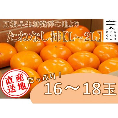 ふるさと納税 天理市 【R8年10月以降発送】刀根早生柿発祥の地※より「たねなし柿」L~2L(1段箱16〜18玉)