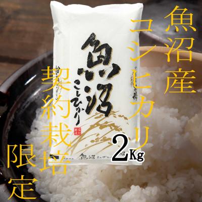 ふるさと納税 魚沼市 令和7年産【雪国逸品 精米2kg】越後魚沼郷 魚沼産コシヒカリ