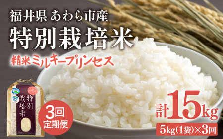 【先行予約】【令和7年産】定期便 ≪3ヶ月連続お届け≫ 化学肥料不使用 特別栽培米 ミルキープリンセス 精米 5kg × 3回（合計15kg）/ 白米 米 福井県あわら市産 美味しい 特別栽培米 減農薬 安心な米 旨味 甘み もっちり 冷蔵保管米 ※2025年10月上旬より順次発送 [aw010-c007]
