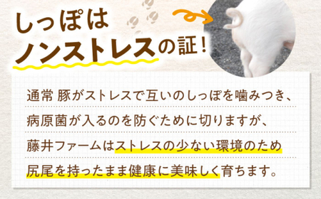 あんしん豚 バラ凍結 ミンチ＆小間セット 豚肉 小分け 国産 白川町 / 藤井ファーム[AWAF006]