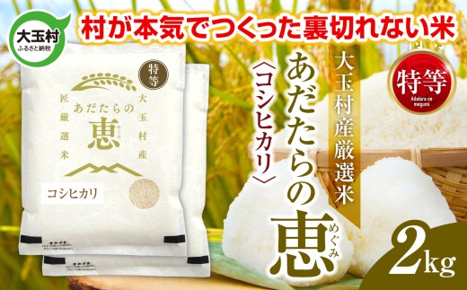 米 大玉村産厳選米「あだたらの恵」特等（品種：コシヒカリ） 2kg 《 令和7年産  》｜ 福島 大玉村 お米 米作り こしひかり 令和7年 精米 白米 こめ コメ ご飯 送料無料 大玉村農業振興公社 ｜ on-akt-2kg-r7