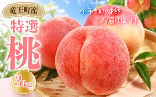 【 先行予約 】数量限定 特選 桃 3kg 果実 新鮮 くだもの モモ 品種おまかせ フルーツ もも 数量限定 果物 期間限定 季節限定 産地直送 旬 果物 滋賀県 竜王町 ギフト プレゼント 送料無料 直送 桃 もも モモ ご自宅用 ご家庭用 おまかせ おいしい 美味しい 甘い あまい 糖度 贈答 贈り物 2026年産 令和8年産