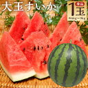 【ふるさと納税】大玉すいか 秀品 1玉 約6kg〜9kg L～3L混合 スイカ すいか 益城町産 お取り寄せ お取り寄せグルメ 西瓜 フルーツ 益城町産 熊本県産 九州産 送料無料【2025年5月下旬～7月下旬に順次発送予定】