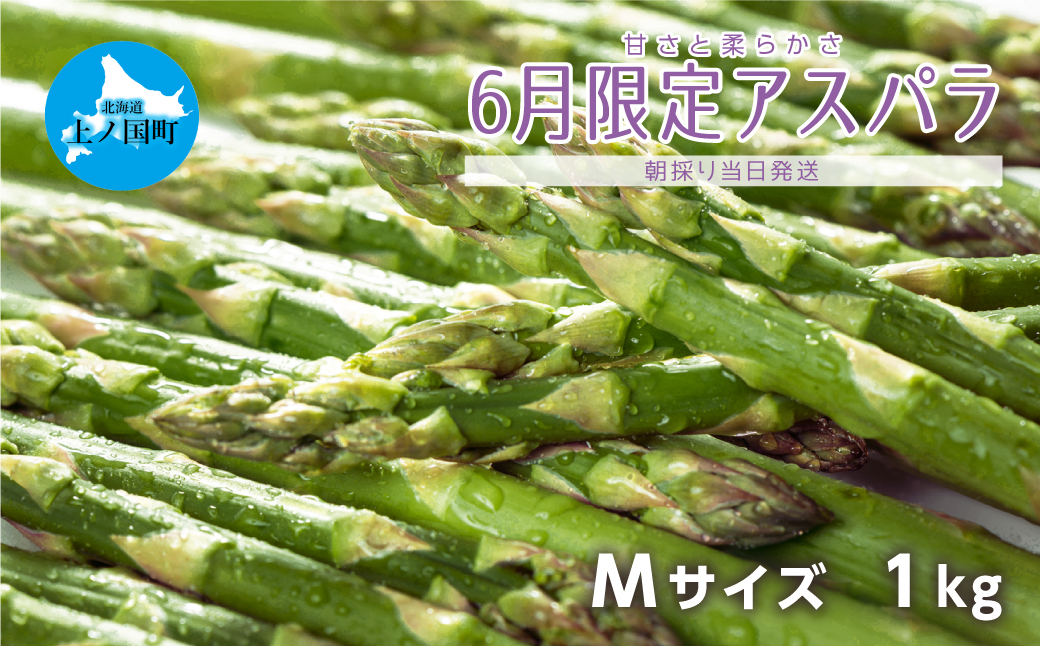 【2025年6月発送】北海道上ノ国町 寅福菜園の6月限定アスパラ　M（1㎏）