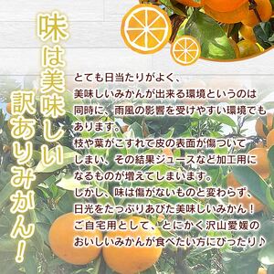 でん助農園の温州みかん（早生）　訳あり　20kg