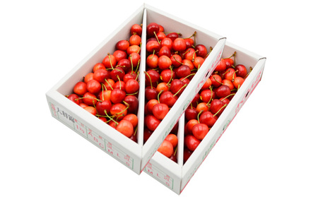 【ご家庭みんなで楽しめる！2kg】山形のさくらんぼ 大将錦 2kg Lサイズ以上 バラ詰(1kg×2箱) 【令和8年産先行予約】FS25-008