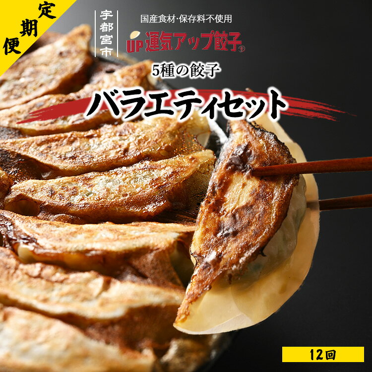 【ふるさと納税】【定期便12回】宇都宮餃子 運気アップ餃子 5種類味比べ（90個×12回　合計1,080個）【ぎょうざ ギョウザ ギョーザ 冷凍食品 冷凍餃子 惣菜 夜ご飯 おかず おつまみ 手軽 時短 お取り寄せ グルメ 送料無料 栃木県 宇都宮市】※配送不可地域：離島