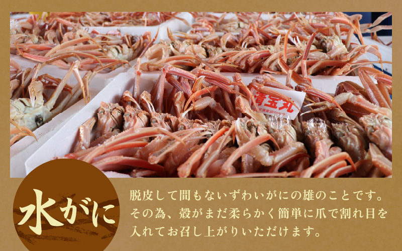 【期間限定】【訳あり品】≪浜茹で≫越前産水がに 1kg（4肩～8肩）産地直送　お手頃【雄 ズワイガニ 越前ガニ 足のみ ボイル 冷蔵 かに カニ 蟹 福井県】希望日指定可 備考欄にメールアドレスをご記