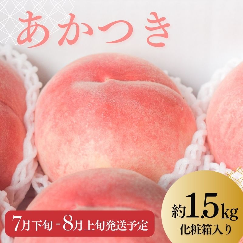 【ふるさと納税】No.2218 もも「あかつき」約1.5kg 化粧箱入【2025年発送】