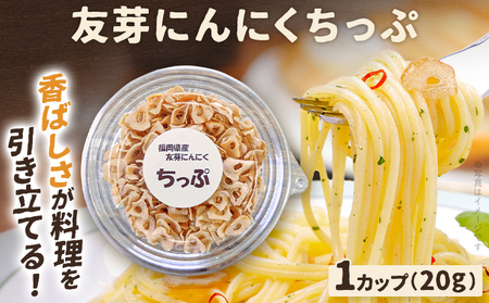 にんにく チップ ガーリック スライス 2000円 調味料 お試し サラダ パスタ ラーメン カレー 肉 福岡 九州 グルメ メール便（ポスト投函）