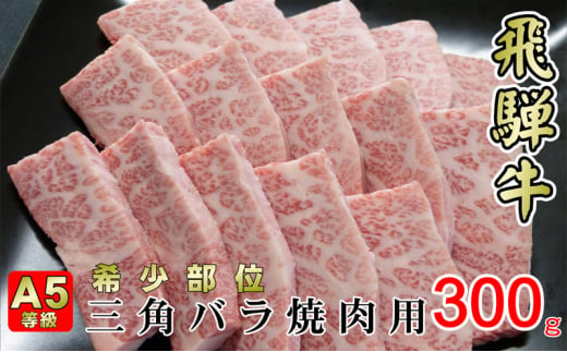 
[№5568-0304]牛肉 飛騨牛 焼肉 希少部位 三角バラ 300g 黒毛和牛 A5 美味しい お肉 牛 肉 和牛 焼き肉 BBQ バーベキュー 【岐阜県揖斐川町】
