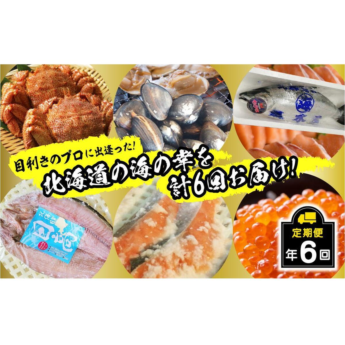 ＜2026年2月から順次発送＞【 定期便 6回 】 北海道産 海の幸 定期便 北海道 サクラマス 鮭 いくら 蟹 北寄 貝 鱒 旬 魚介 海鮮 海産物 ＜ 予約受付 ＞