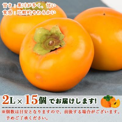 ふるさと納税 国富町 富有柿　2Lサイズ15個入り　4kg　宮崎県国富町 |  | 01