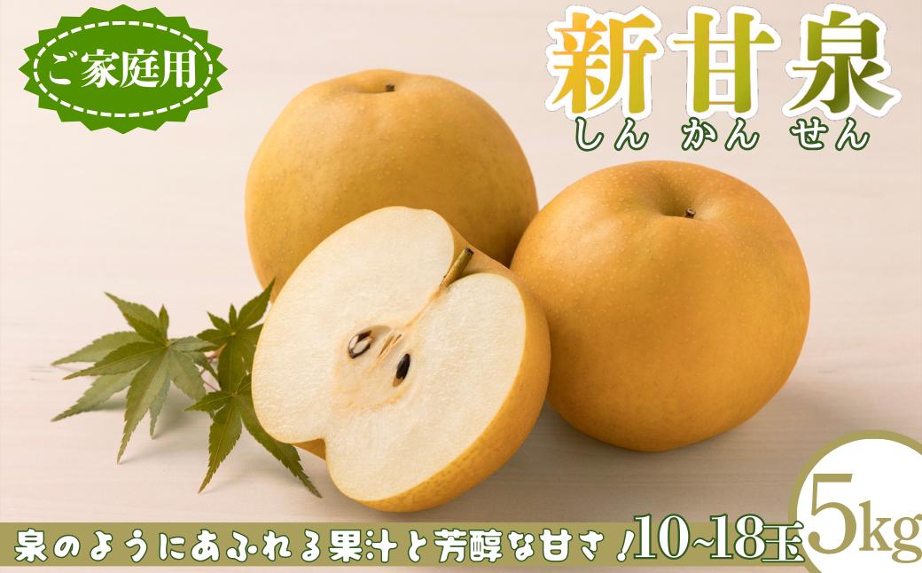 
                  新甘泉(家庭用) 5kg「Y's Farm Tottori」【梨 なし ナシ 果物 フルーツ ギフト 先行予約 甘い 果実 果汁 デザート もぎたて 旬】
                