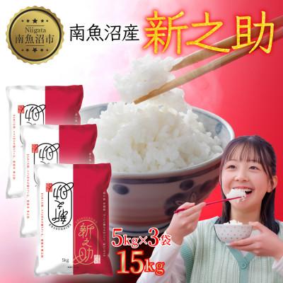 ふるさと納税 南魚沼市 【令和7年産】南魚沼産 新之助 15kg 精米 新潟県 南魚沼市