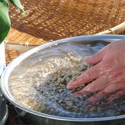 ふるさと納税 富士吉田市 【訳あり】 コーヒー 豆200g×4袋計800g 自家焙煎珈琲 スペシャルティコーヒー |  | 02