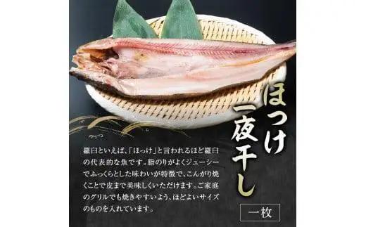 ５回定期便！羅臼の魚 おすすめセット(1)　8点盛り　｜定期便　北海道