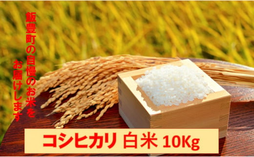 コシヒカリ　白米　10kg（令和5年飯豊町産）