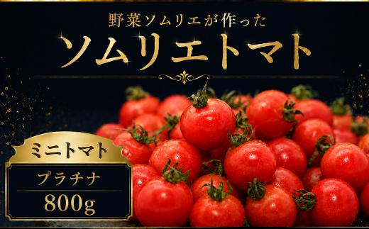 【特別栽培農産物】ソムリエミニトマト・プラチナ 800g | 野菜 やさい トマト とまと 銀賞 熊本県 玉名市