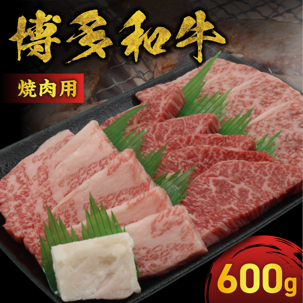 JAむなかたよりお届け！博多和牛焼肉用600g【ほたるの里】_HA0952