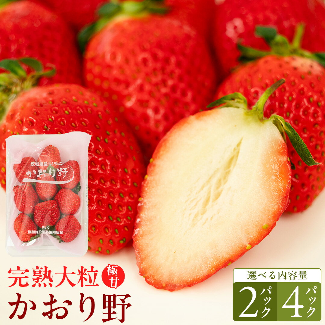 【ふるさと納税】 《 2026年1月上旬発送開始 》 完熟 かおり野 約260g×2〜4パック 国産 いちご イチゴ 苺 果物 フルーツ 茨城県産 KEK 果物 フルーツ