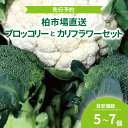 【ふるさと納税】 【先行予約】 【12月発送開始】おすすめ 柏市産 ブロッコリーとカリフラワーセット おいしい 旬 季節限定 たっぷり 旬 サラダ 野菜炒め 冬の味覚 柏市場