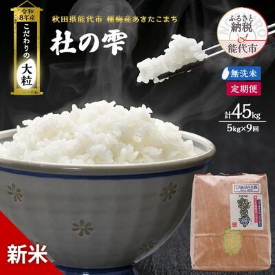 ふるさと納税 能代市 先行予約 新米 無洗米 定期便9ヶ月 あきたこまち 5kg 計45kg [No.5335-1603]