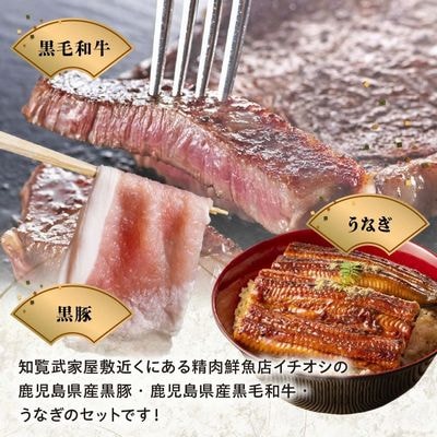 かごしま黒豚しゃぶしゃぶ用2パック・黒毛和牛サーロイン2枚・ウナギ1尾の抜群セット【配送不可地域：離島】