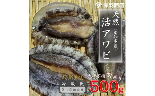 
訳あり 南知多町産 天然活アワビ 約500g (2～4個) 捌き方のレシピ付き 大小不揃い【1443345】
