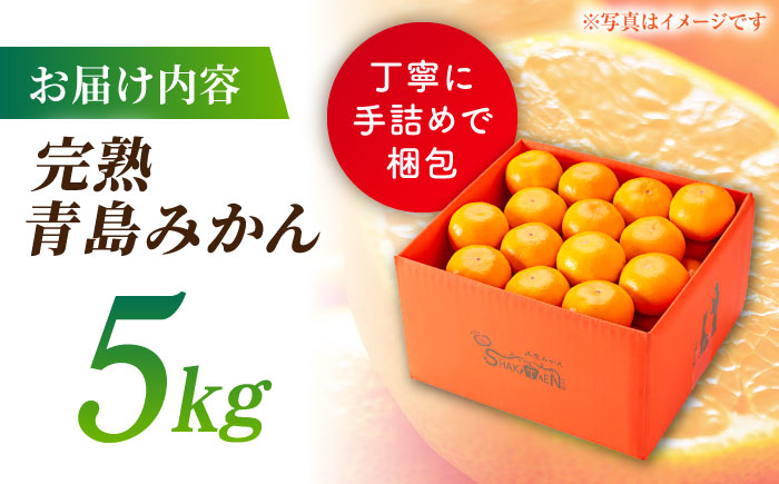 【先行予約】完熟 青島 みかん 約5kg【合同会社 社方園】 [ZBZ003]