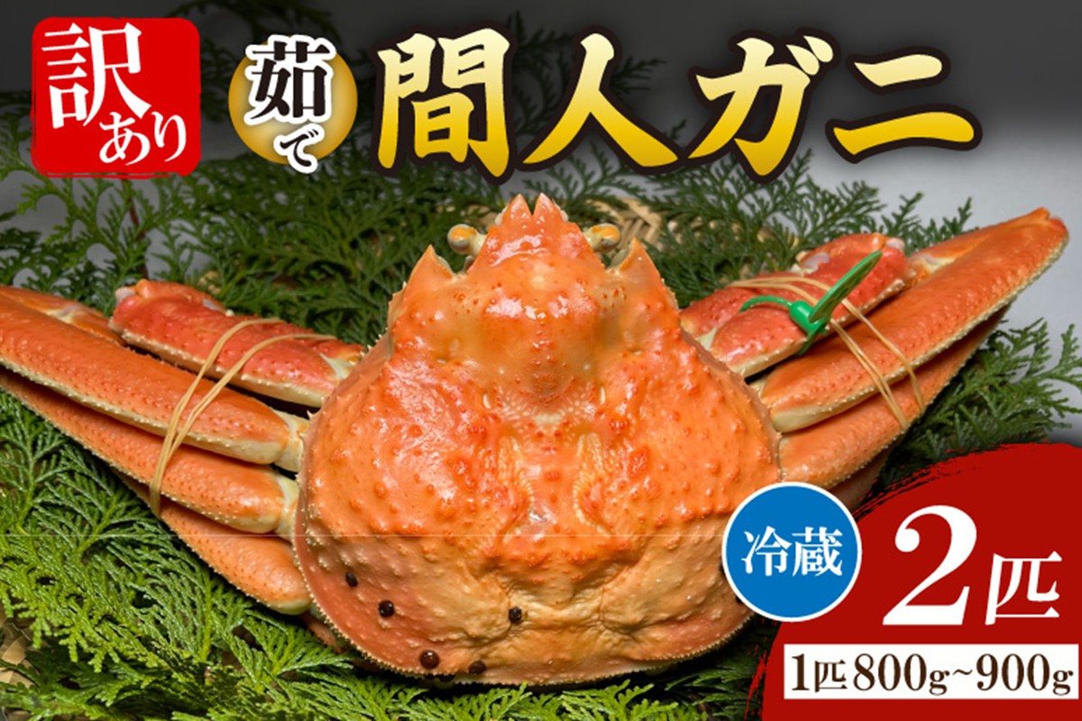 間人漁港仲買人の丸友鮮魚三代目・自慢の間人ガニ訳アリ≪茹で≫[1匹 800～900g×2匹]　MG00014