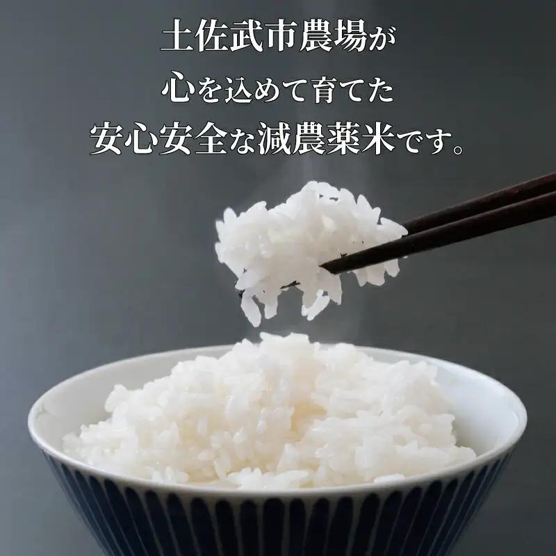 米 令和7年産 ミルキークイーン 5kg スピード発送 