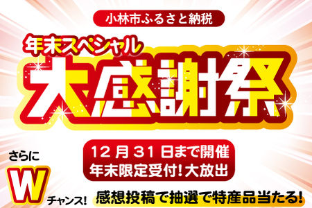 【年末大感謝祭！】モリモリ黒豚まみれセット　3.8ｋｇ（国産 豚 黒豚 直送 冷凍 小分け しゃぶしゃぶ すき焼き 限定 ）