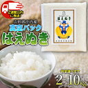 【ふるさと納税】 令和6年産 はえぬき 精米 真空パック 容量お選びください［2～10kg］ 山形県庄内産 | 白米 ご飯 ライス パック ごはん 鶴岡市 備蓄米 災害備蓄用 非常食