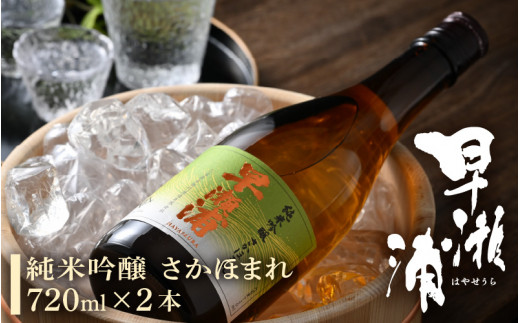 早瀬浦 純米吟醸 さかほまれ 720ml × 2本 【入手困難 日本酒 就職祝い 転職祝い ハレの日 ギフト プレゼント お祝い お返し お礼 お中元 お歳暮 父の日 敬老の日】[m06-b009]