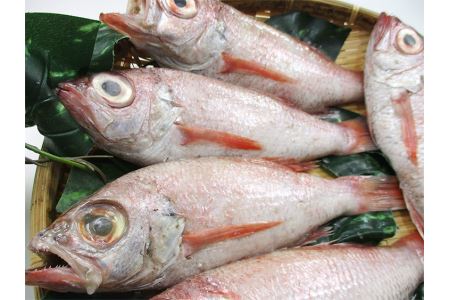 大秀商店の「のどぐろ（煮付け用）」（5尾入り） 魚介類 魚 海鮮 のどぐろ 煮つけ用 煮付け用 ５尾 下処理済 冷凍 (のどぐろ のどぐろ のどぐろ のどぐろ のどぐろ のどぐろ のどぐろ のどぐろ のどぐろ のどぐろ のどぐろ のどぐろ のどぐろ のどぐろ のどぐろ のどぐろ のどぐろ のどぐろ のどぐろ のどぐろ のどぐろ のどぐろ のどぐろ のどぐろ のどぐろ のどぐろ のどぐろ のどぐろ のどぐろ のどぐろ のどぐろ のどぐろ のどぐろ のどぐろ のどぐろ のどぐろ のどぐろ のどぐろ のどぐろ の