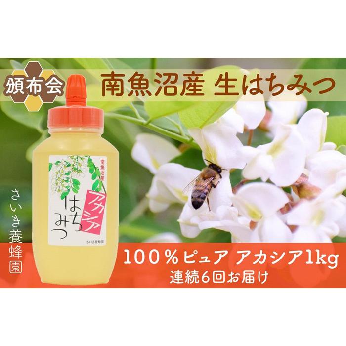 【定期便】さいき養蜂園　非加熱蜂蜜　アカシア１kg×１本　【6か月連続お届け】
