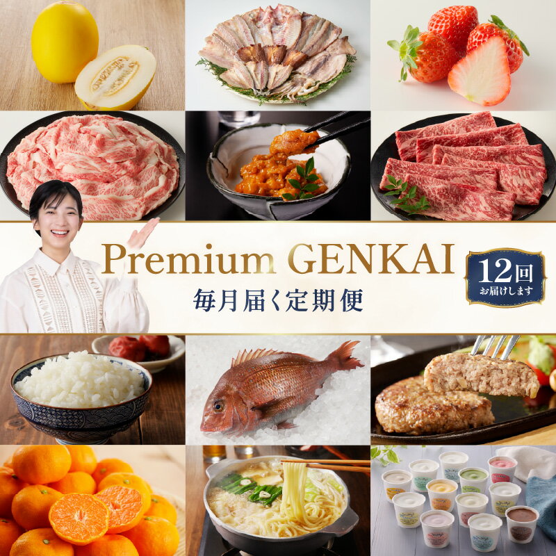 【ふるさと納税】【定期便 12回】〜Premium GENKAI〜定期便 ／ 定期便 佐賀牛 海鮮 魚介 干物 キンショウメロン アイスクリーム ハウスみかん 鯛 新鮮野菜 佐賀牛ハンバーグ 毎月配送 贅沢セット 玄海町 地域 特産品 直送 旬の味覚 送料無料【★ 観光大使 おすすめ ★】