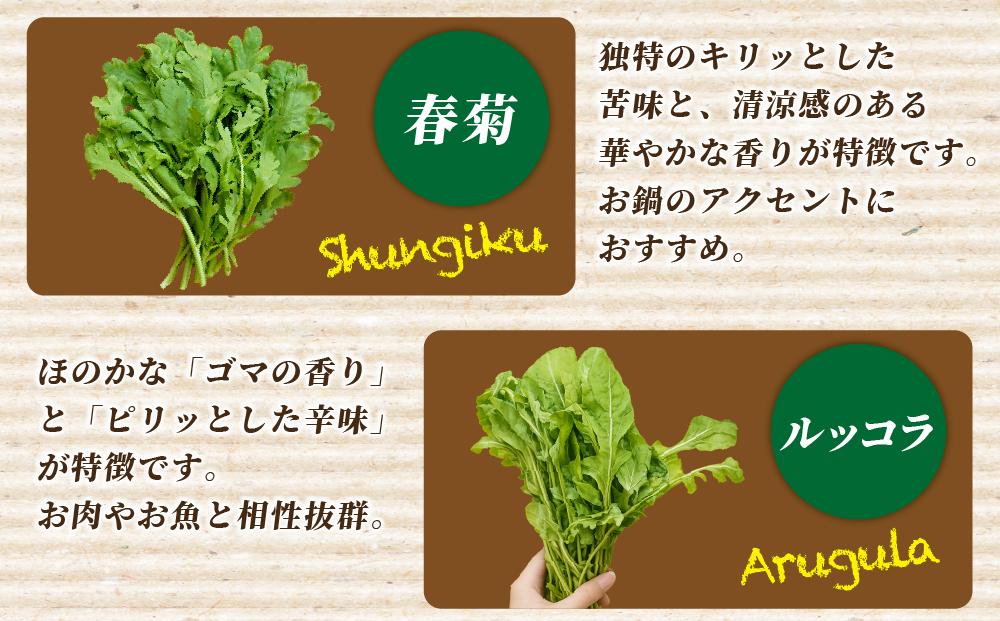 【6回定期便】野菜 詰め合わせ リーフレタス サラダ 7種～11種 6回定期便 京都 丹波産 新鮮 旬の葉物野菜セット 小島農園《農薬不使用 京野菜 亀岡産 季節の野菜 産地直送 期間限定 ふるさと納