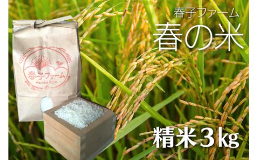 
＼令和5年産 新米／ 春の米 精米／3kg
