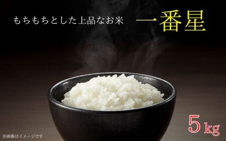 	《 令和7年産 》米 もちもちで上品な食感「一番星」精米5kg ／ 米 こめ コメ お米 おこめ 一番星 白米 ごはん 令和7年産 5kg 茨城県 利根町 送料無料