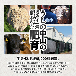 2265 鰻も牛もどっちもイエェェェーイ！セット1 KN050-003-01 冷凍 肉 魚 黒毛和牛