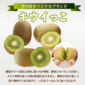 先行予約 キウイフルーツ キウイっこ 約1.2kg キウイ