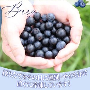 【ふるさと納税】＜ブルーベリー 冷凍　1.4kg＞ フルーツ くだもの 高知県 佐川町 果物 島崎商事【冷凍】冷凍ブルーベリー 常備果物＜１～３ヶ月程度で発送＞
