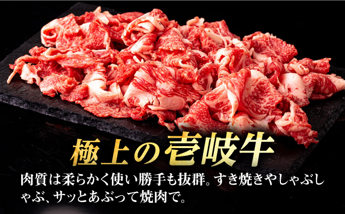 【全2回定期便】 壱岐牛 切り落とし 1kg《壱岐市》【株式会社イチヤマ】 肉 牛肉 切落し すき焼き しゃぶしゃぶ [JFE112]