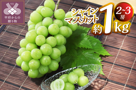 【2025年度配送分】甲府市産　シャインマスカット　約1.0kg（2～3房）